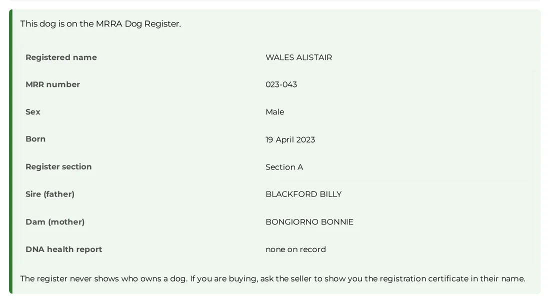 The public Check a Breeder or Puppy lookup on the MRRA website showing register facts for one dog: name, registration number, sex, date of birth, sire and dam, with no owner details